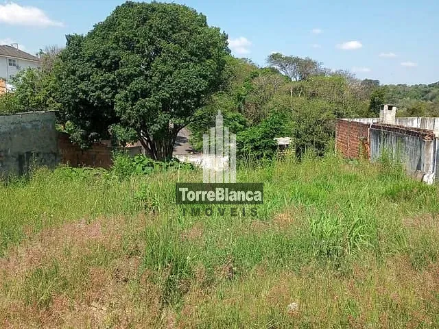 Terreno com 440m², à venda, no bairro Uvaranas em Ponta Grossa
