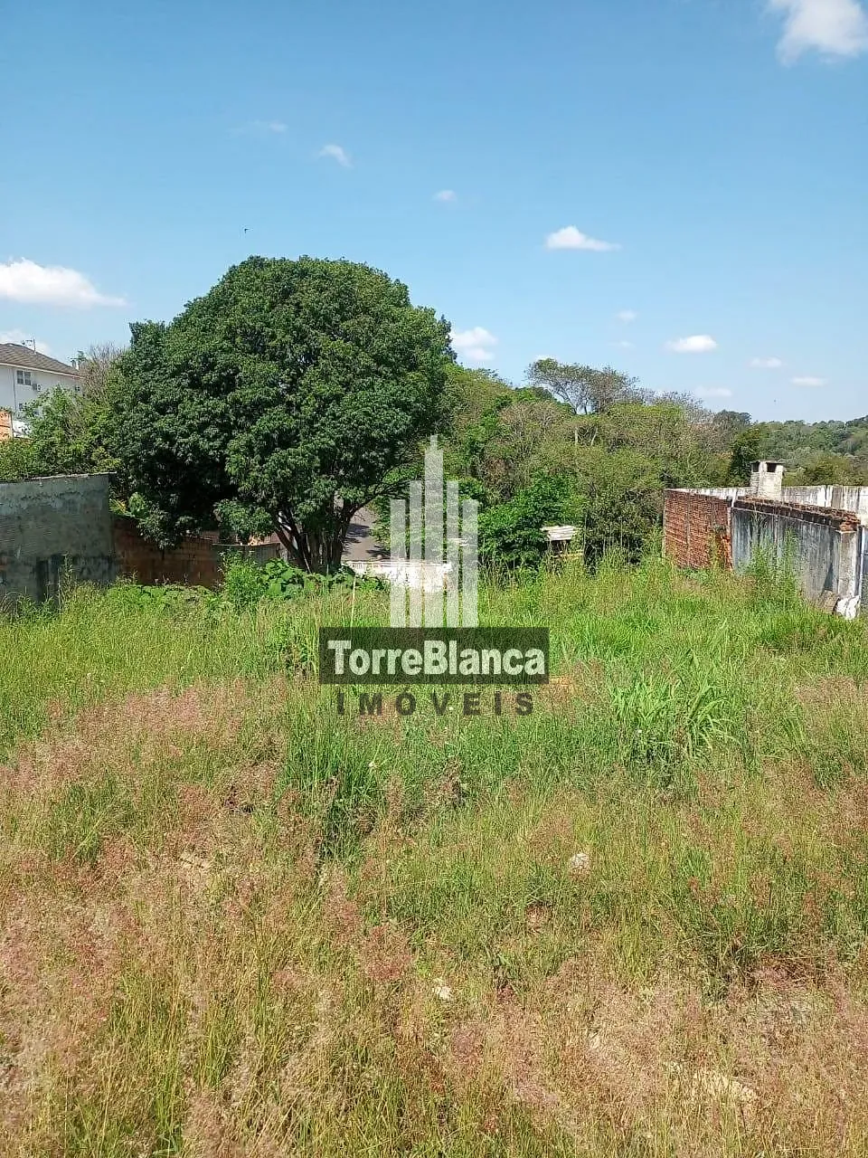 Terreno, 440 m² - Foto 4