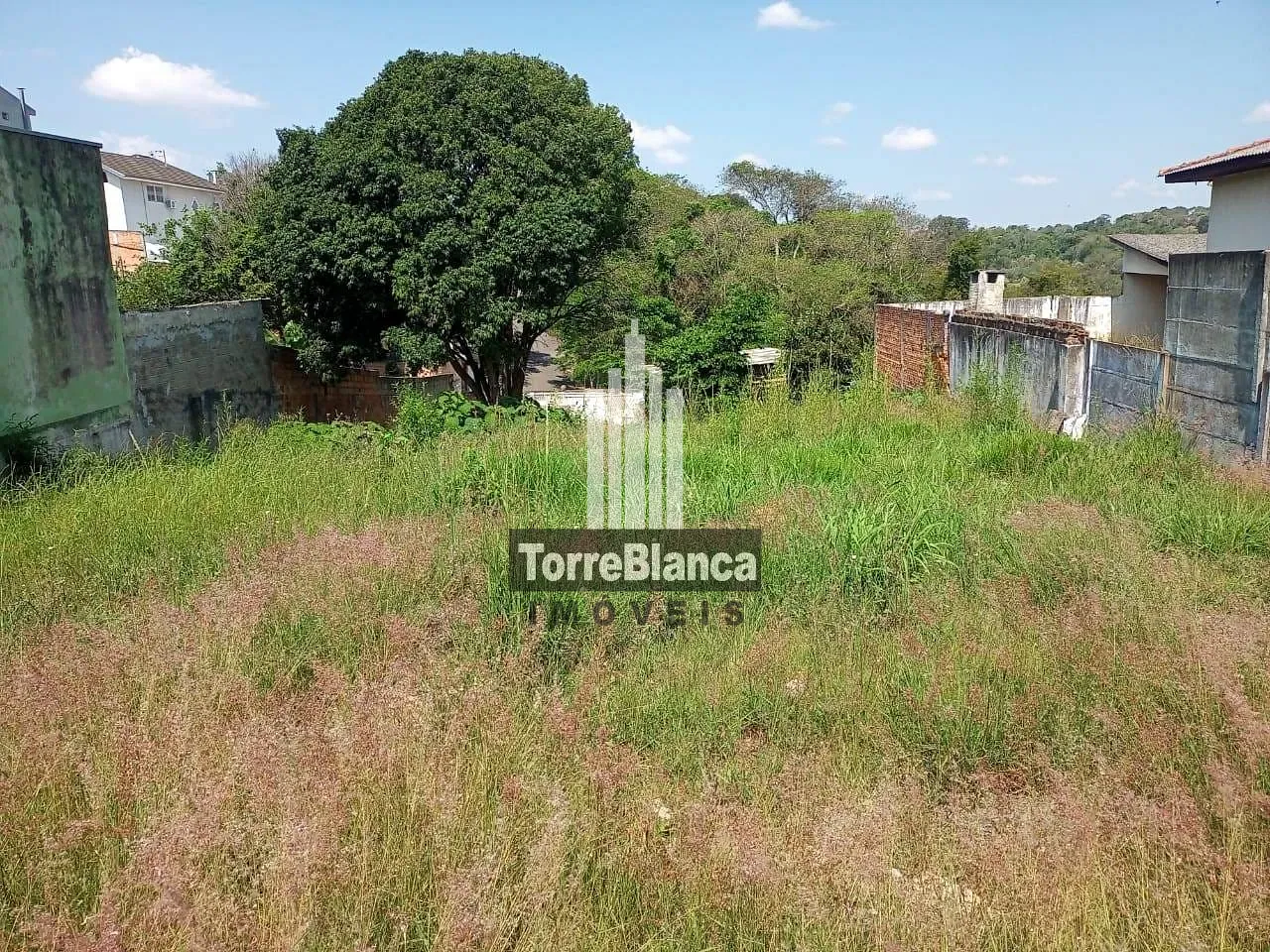Terreno, 440 m² - Foto 3
