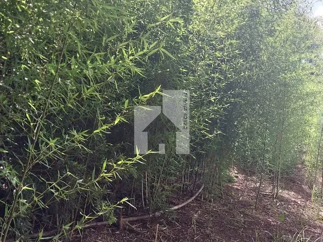 Terreno com 500m², à venda, no bairro Caioçara em Jarinu