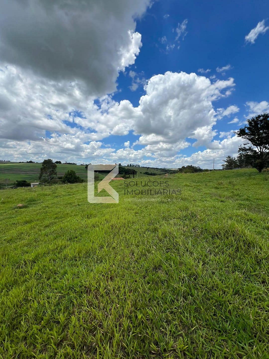 Terreno, 2 hectares - Foto 6