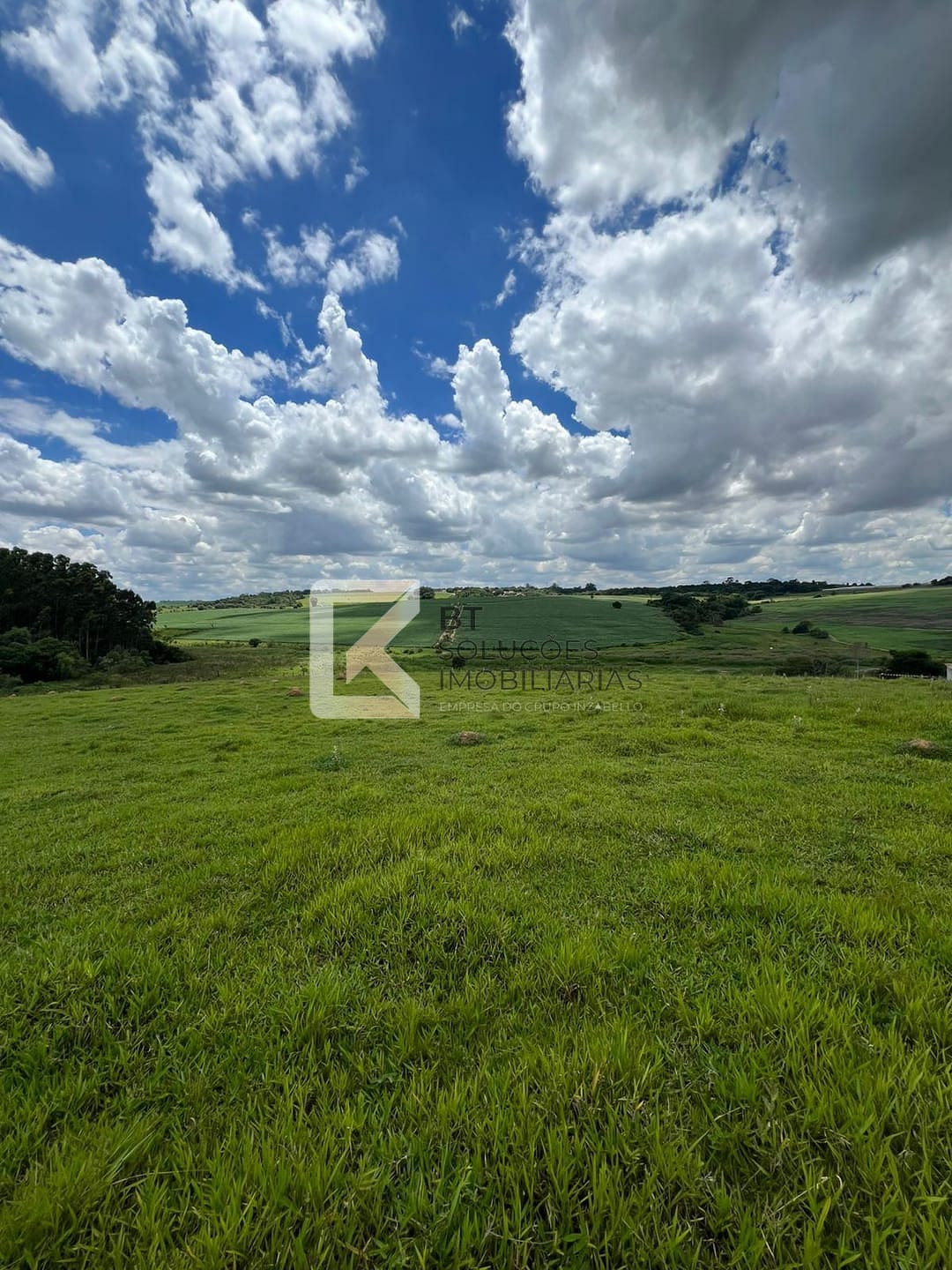 Terreno, 2 hectares - Foto 5