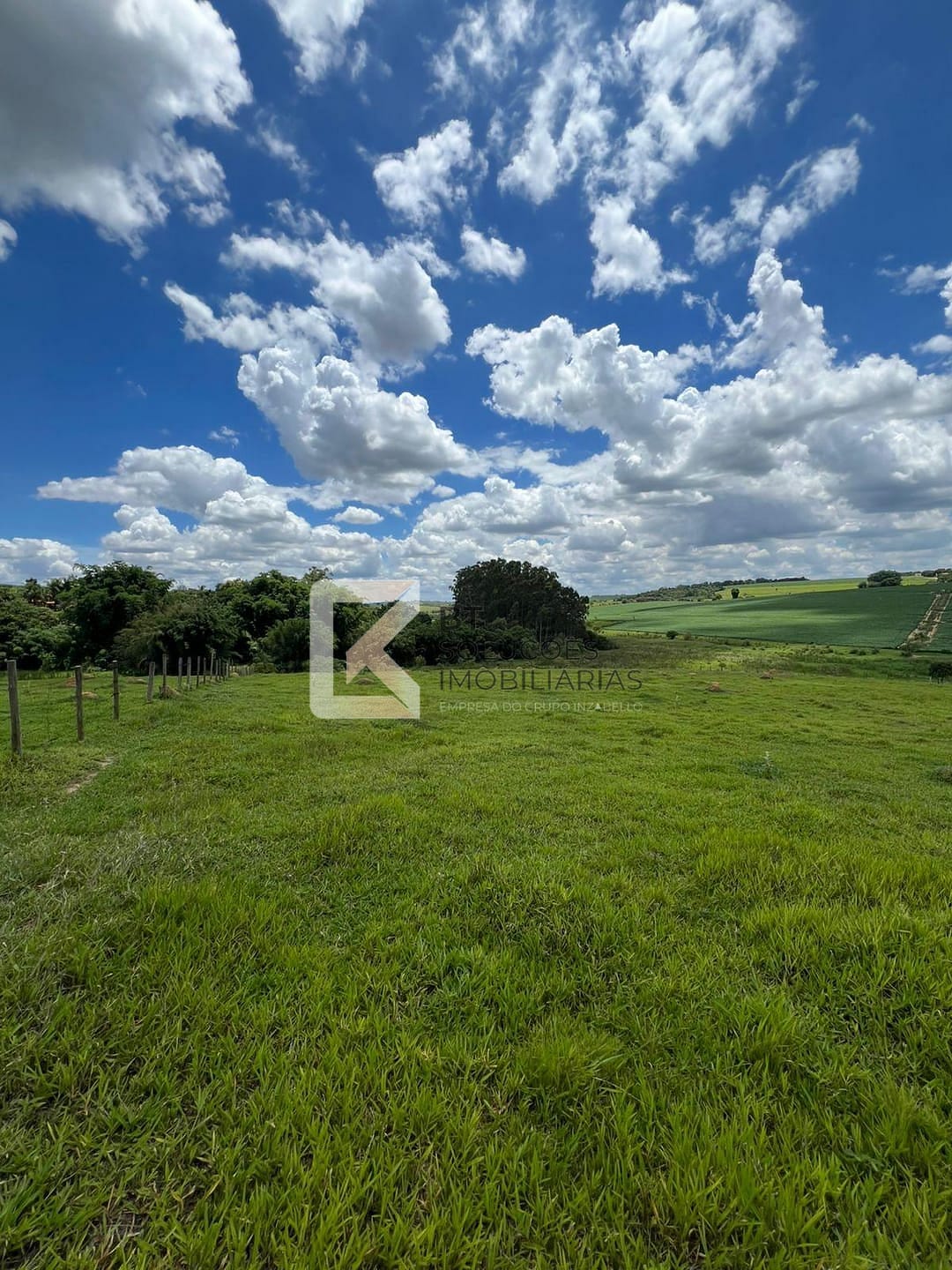 Terreno, 2 hectares - Foto 4