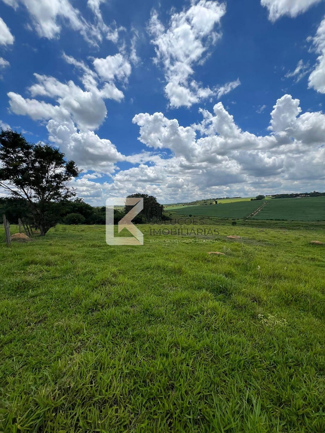 Terreno, 2 hectares - Foto 3