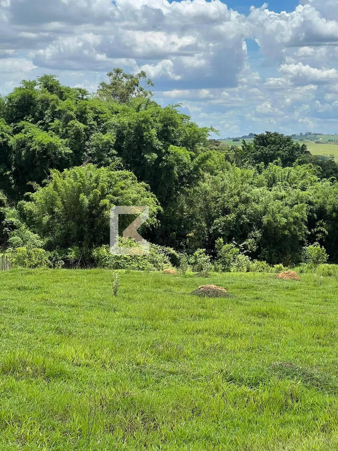 Terreno, 2 hectares - Foto 7