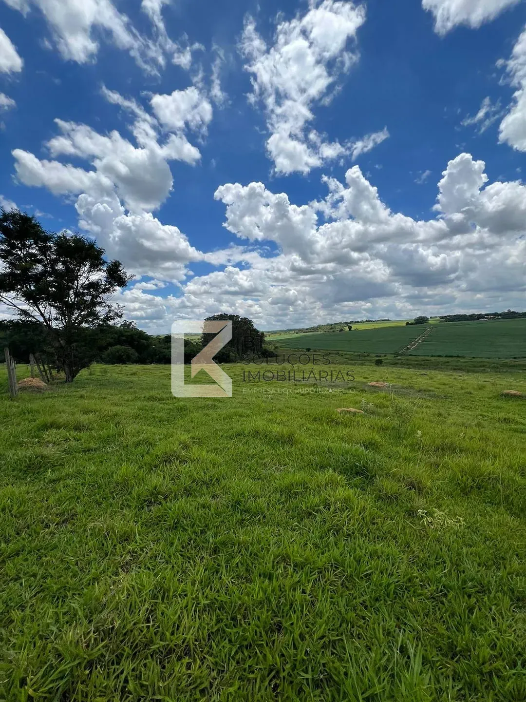 Terreno, 2 hectares - Foto 3