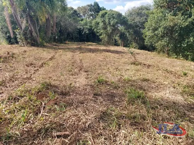 Terreno à venda, no bairro Porto das Laranjeiras em Araucária