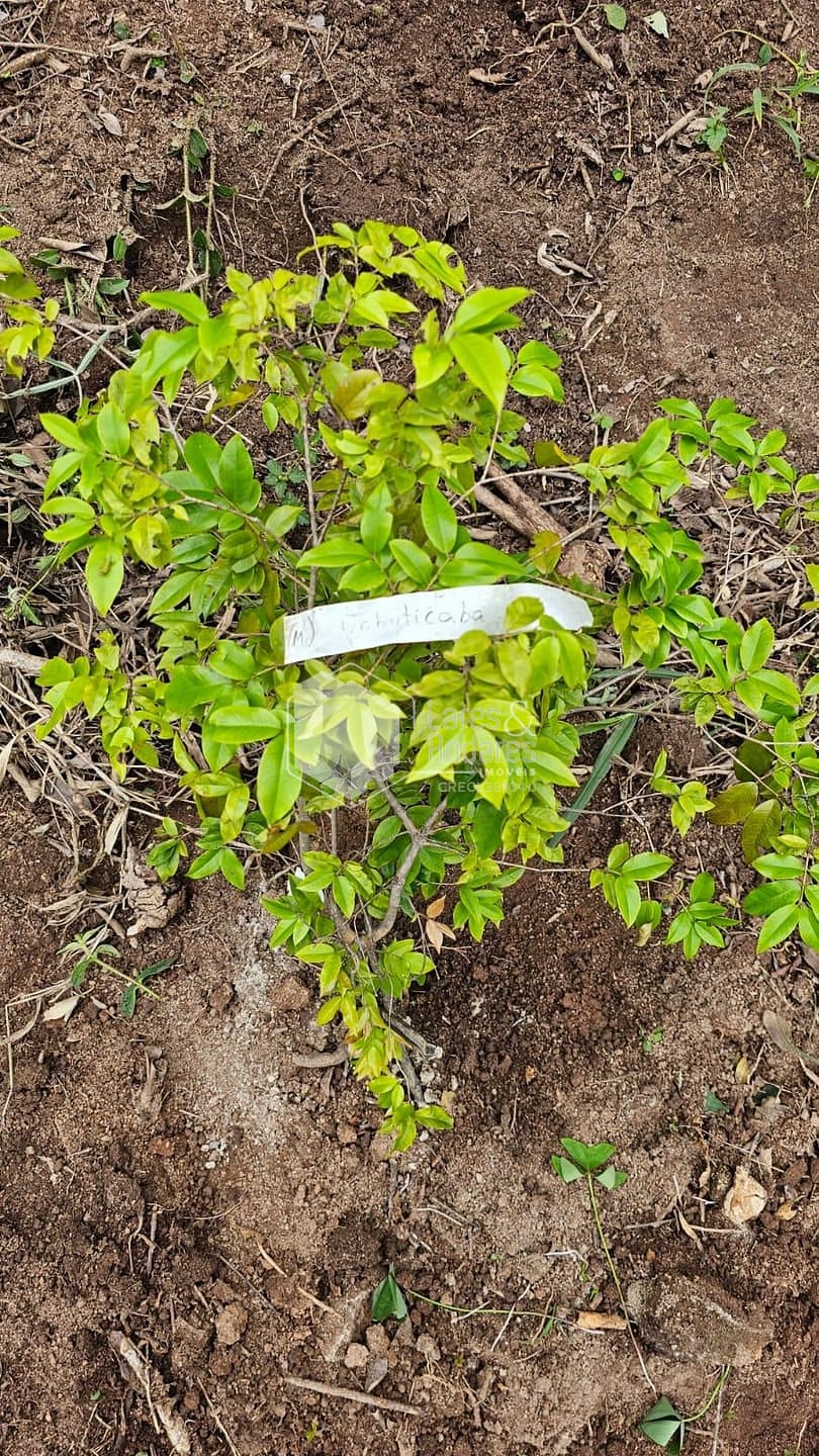 Terreno, 1500 m² - Foto 3