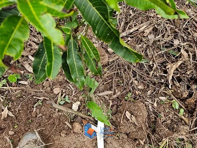 Terreno com 1500m², à venda, no bairro Portal Roselândia em Cotia