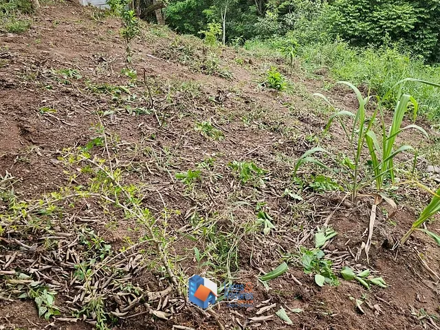 Terreno com 1500m², à venda, no bairro Portal Roselândia em Cotia