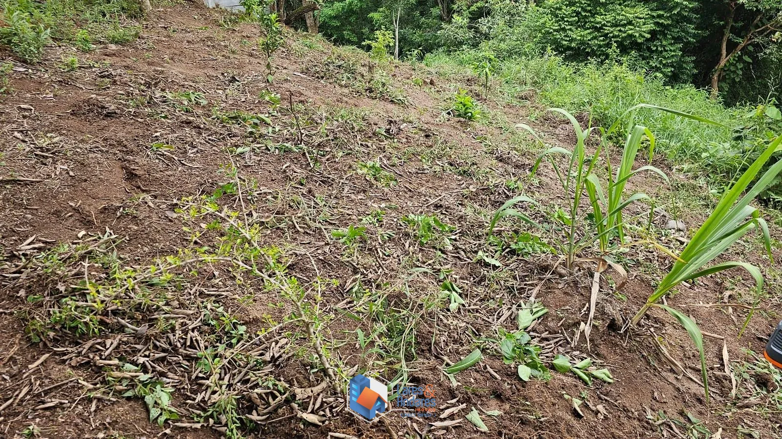 Terreno, 1500 m² - Foto 2
