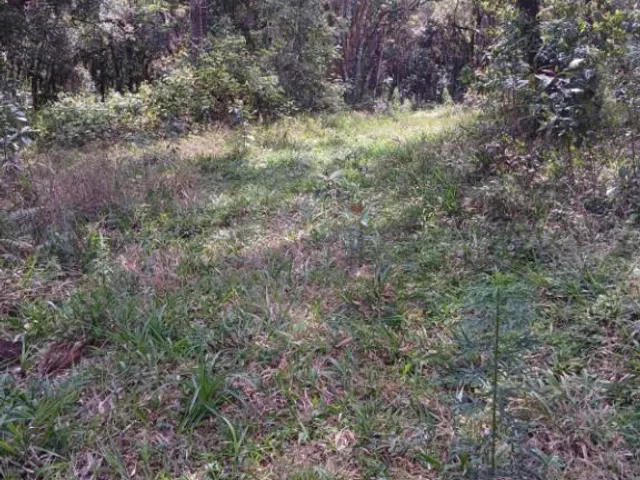 Terreno à venda, no bairro Planta São Tiago em Piraquara