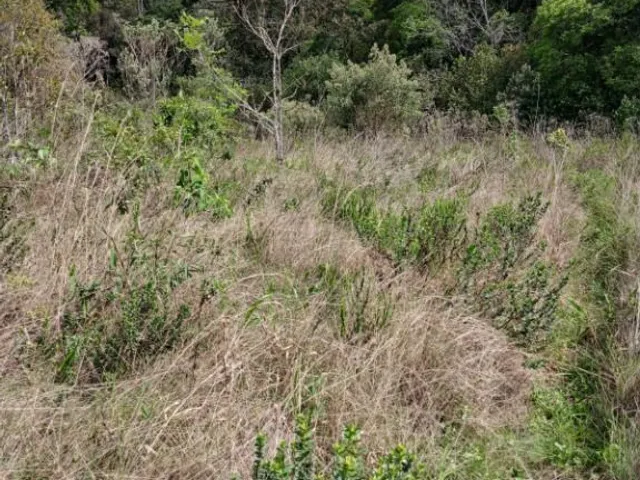 Terreno à venda, no bairro Planta São Tiago em Piraquara