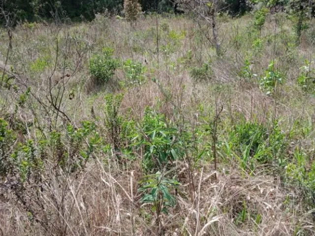 Terreno à venda, no bairro Planta São Tiago em Piraquara