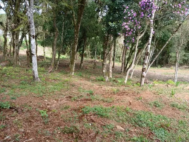 Terreno à venda, no bairro Jardim Bela Vista em Piraquara