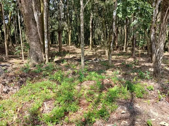 Terreno à venda, no bairro Jardim Bela Vista em Piraquara