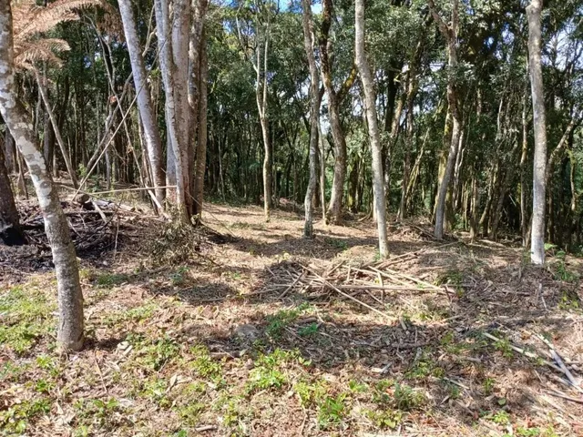 Terreno à venda, no bairro Jardim Bela Vista em Piraquara