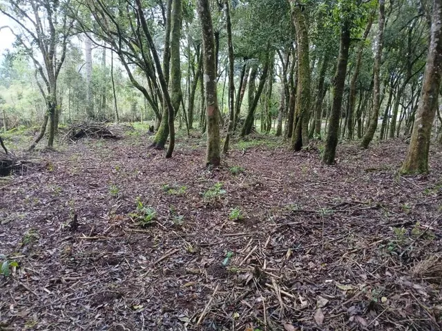 Terreno à venda, no bairro Jardim Bela Vista em Piraquara