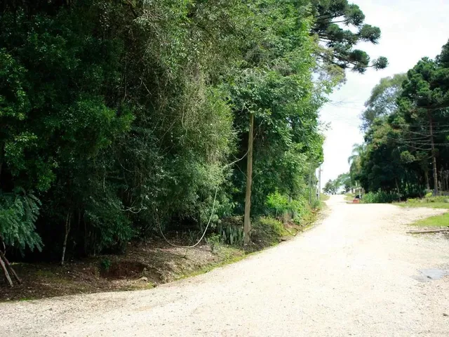 Terreno à venda, no bairro Vila Maria Ignácia em Colombo