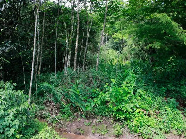 Terreno à venda, no bairro Vila Maria Ignácia em Colombo