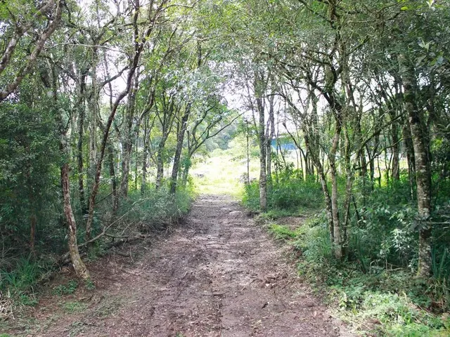 Terreno à venda, no bairro Vila Maria Ignácia em Colombo