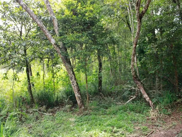 Terreno à venda, no bairro Vila Maria Ignácia em Colombo