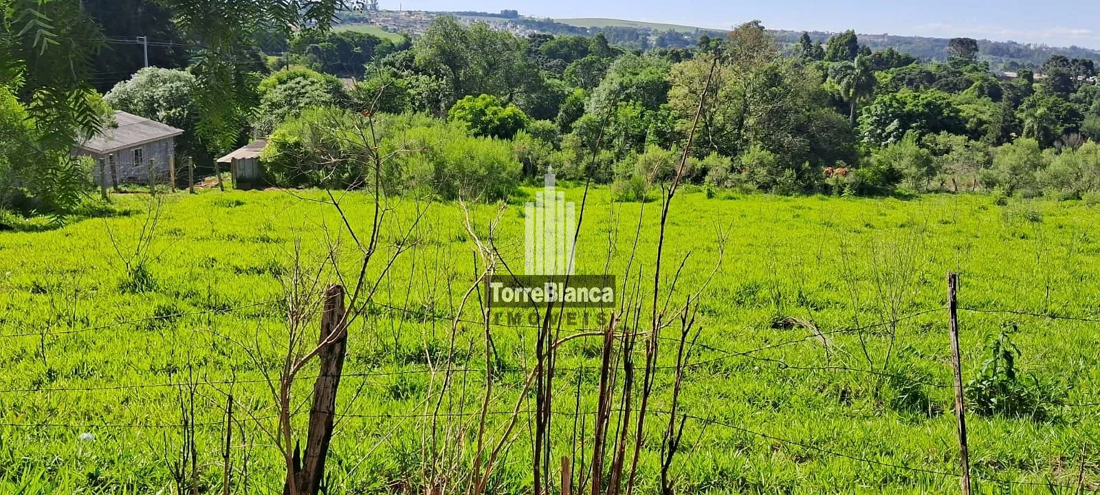 Terreno, 2000 m² - Foto 4