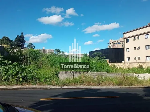 Terreno com 675m², à venda, no bairro Jardim Carvalho em Ponta Grossa