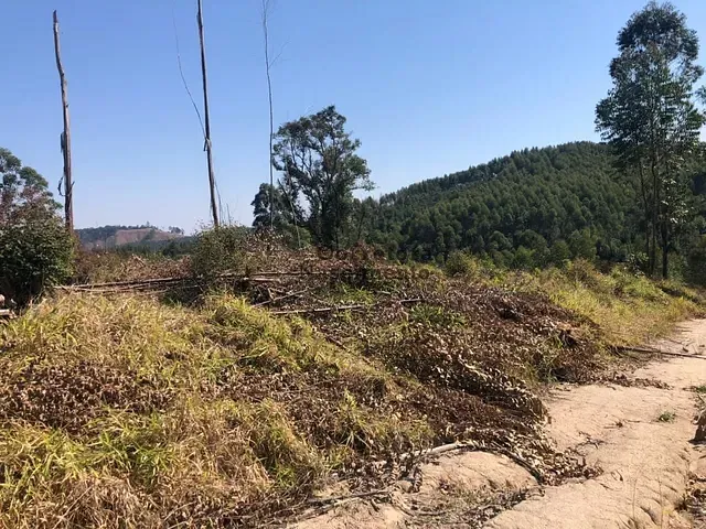 Terreno com 1000m², à venda, no bairro Centro em Santa Branca