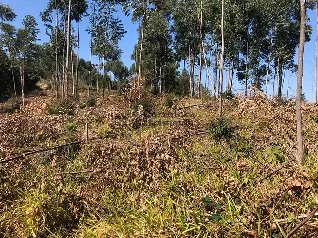 Terreno com 1000m², à venda, no bairro Centro em Santa Branca