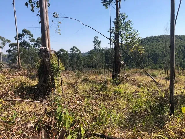 Terreno com 1000m², à venda, no bairro Centro em Santa Branca