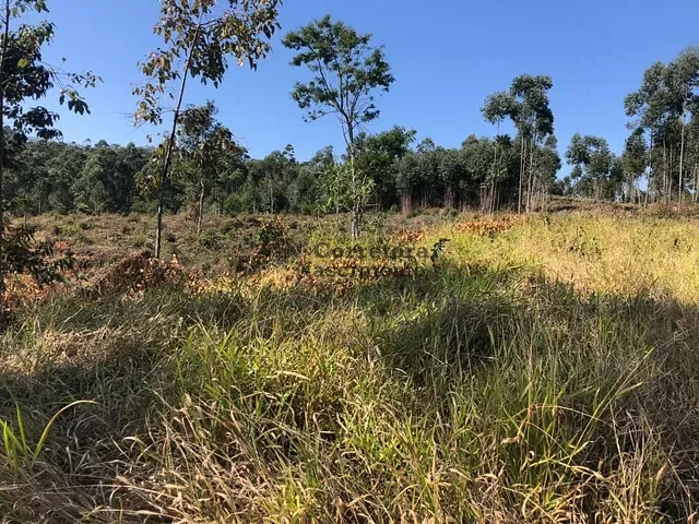 Terreno com 1000m², à venda, no bairro Centro em Santa Branca