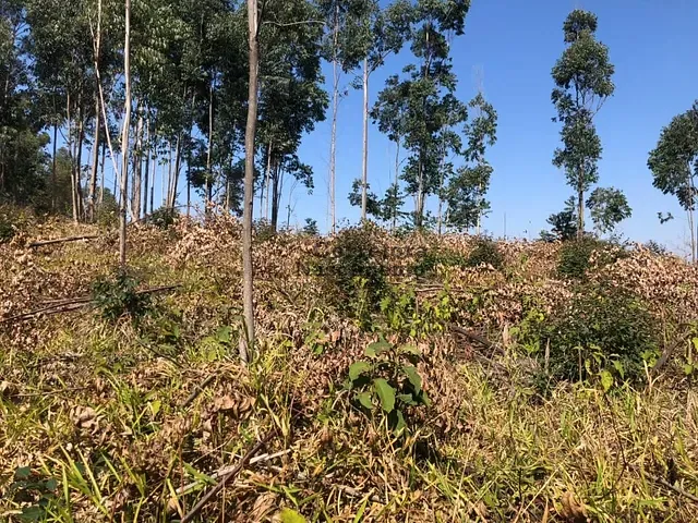 Terreno com 1000m², à venda, no bairro Centro em Santa Branca