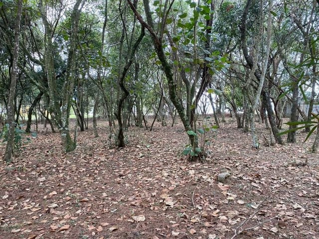 Terreno com 1575m², à venda, no bairro Vila de São Fernando em Cotia