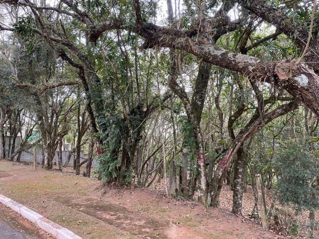 Terreno com 1575m², à venda, no bairro Vila de São Fernando em Cotia