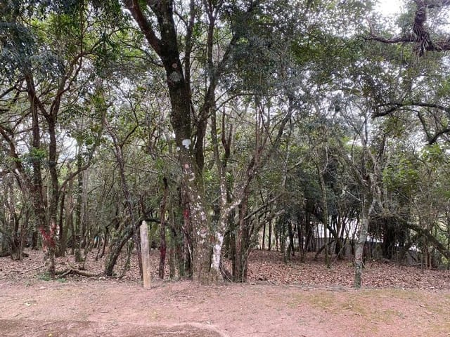 Terreno com 1575m², à venda, no bairro Vila de São Fernando em Cotia