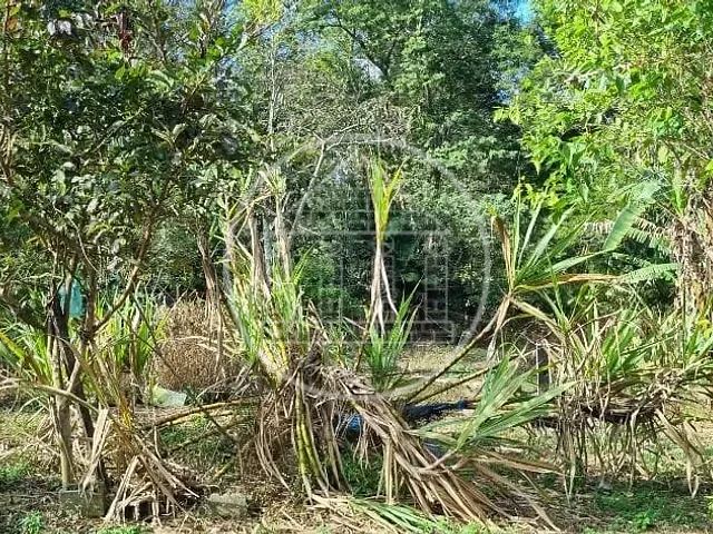 Terreno com 2000m², à venda, no bairro Jardim Shangrilá (Zona Sul) em São Paulo