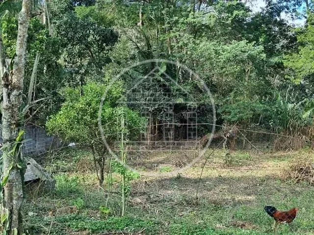 Terreno com 2000m², à venda, no bairro Jardim Shangrilá (Zona Sul) em São Paulo