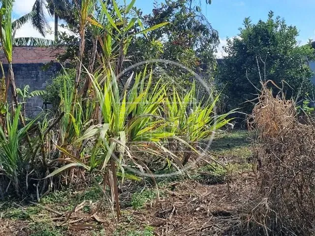 Terreno com 2000m², à venda, no bairro Jardim Shangrilá (Zona Sul) em São Paulo