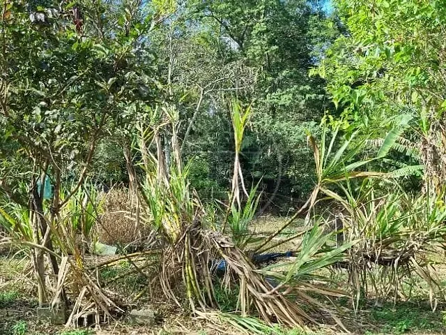 Terreno com 2000m², à venda, no bairro Jardim Shangrilá (Zona Sul) em São Paulo