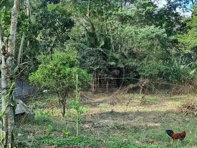 Terreno com 2000m², à venda, no bairro Jardim Shangrilá (Zona Sul) em São Paulo
