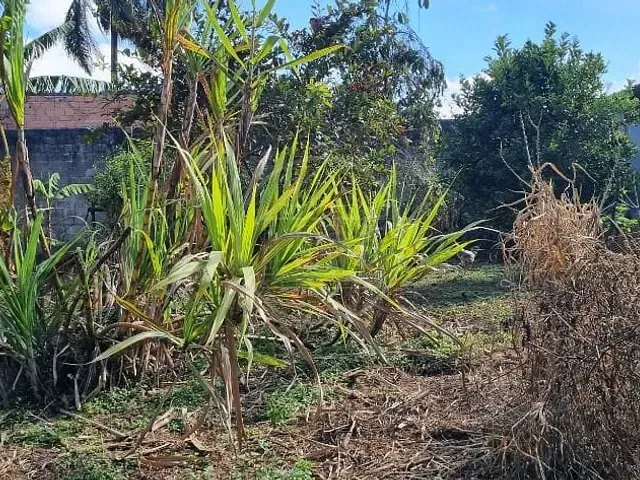 Terreno com 2000m², à venda, no bairro Jardim Shangrilá (Zona Sul) em São Paulo