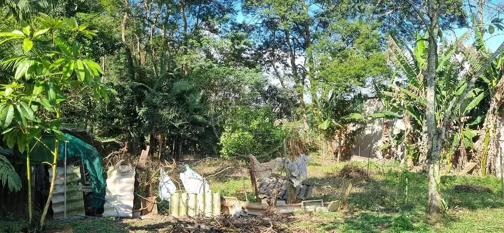 Terreno, 2000 m² - Foto 5