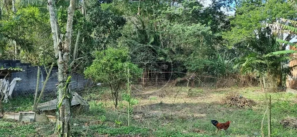Terreno, 2000 m² - Foto 1