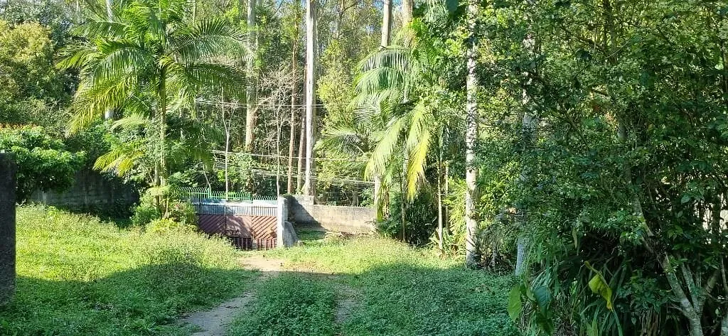 Terreno, 2000 m² - Foto 7