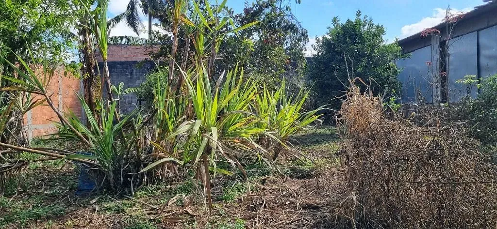 Terreno, 2000 m² - Foto 2