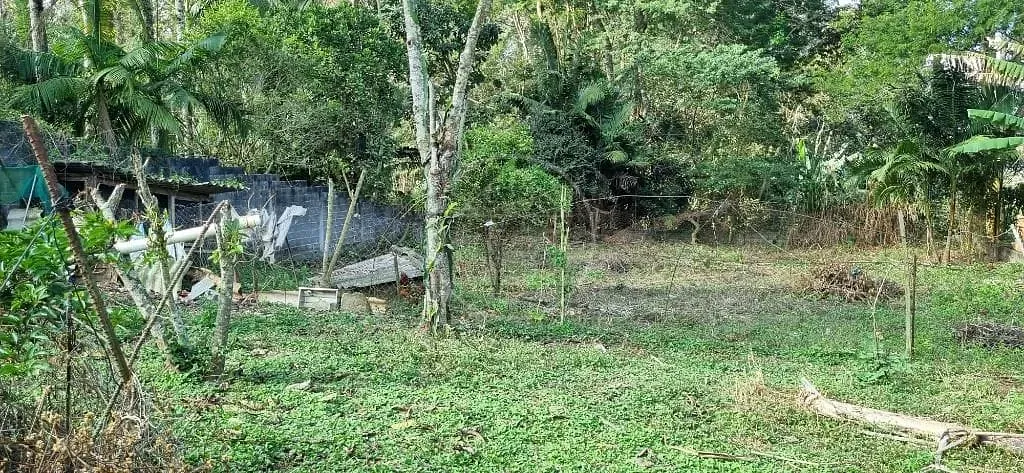 Terreno, 2000 m² - Foto 3