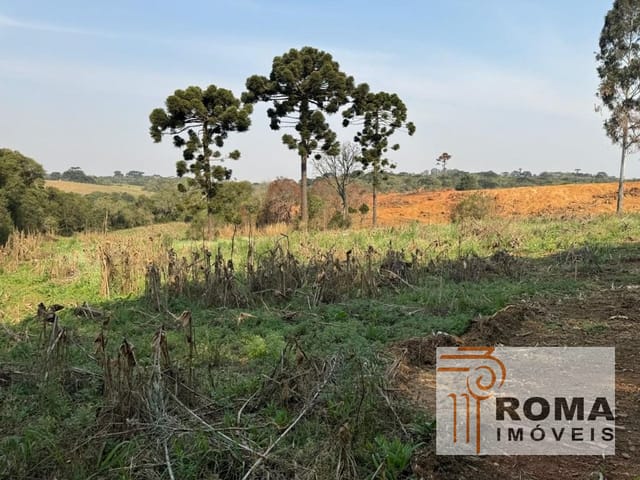 Terreno à venda, no bairro Cachoeira em São José Dos Pinhais