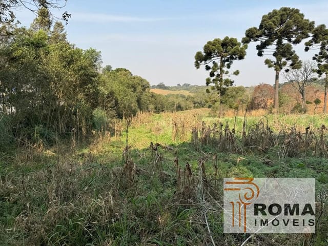Terreno à venda, no bairro Cachoeira em São José Dos Pinhais