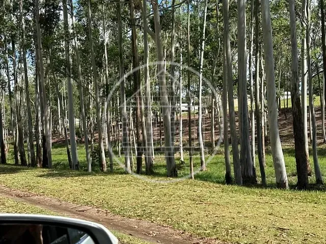 Terreno com 650m², à venda, no bairro Jardim Ipê em São Paulo